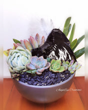 Load image into Gallery viewer, Succulent/Crystal Bowl Gardens