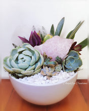 Load image into Gallery viewer, Succulent/Crystal Bowl Gardens