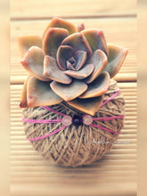 Load image into Gallery viewer, Kokedama