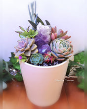 Load image into Gallery viewer, Crystal Succulent Gardens