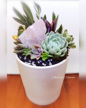 Load image into Gallery viewer, Crystal Succulent Gardens