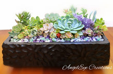 Load image into Gallery viewer, Succulent Planter Gardens