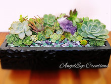Load image into Gallery viewer, Succulent Planter Gardens