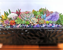 Load image into Gallery viewer, Succulent Planter Gardens