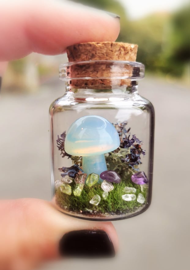 What is a mushroom terrarium?