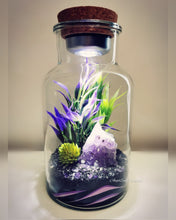 Load image into Gallery viewer, Night Gardens