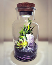 Load image into Gallery viewer, Night Gardens