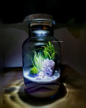 Load image into Gallery viewer, Night Gardens