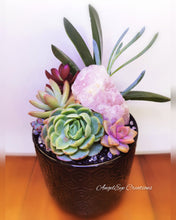 Load image into Gallery viewer, Crystal Succulent Gardens