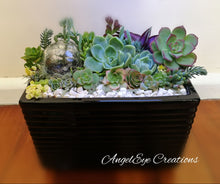Load image into Gallery viewer, Succulent Planter Gardens
