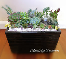 Load image into Gallery viewer, Succulent Planter Gardens