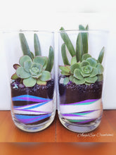 Load image into Gallery viewer, Tumble Terrariums