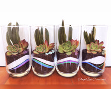 Load image into Gallery viewer, Tumble Terrariums