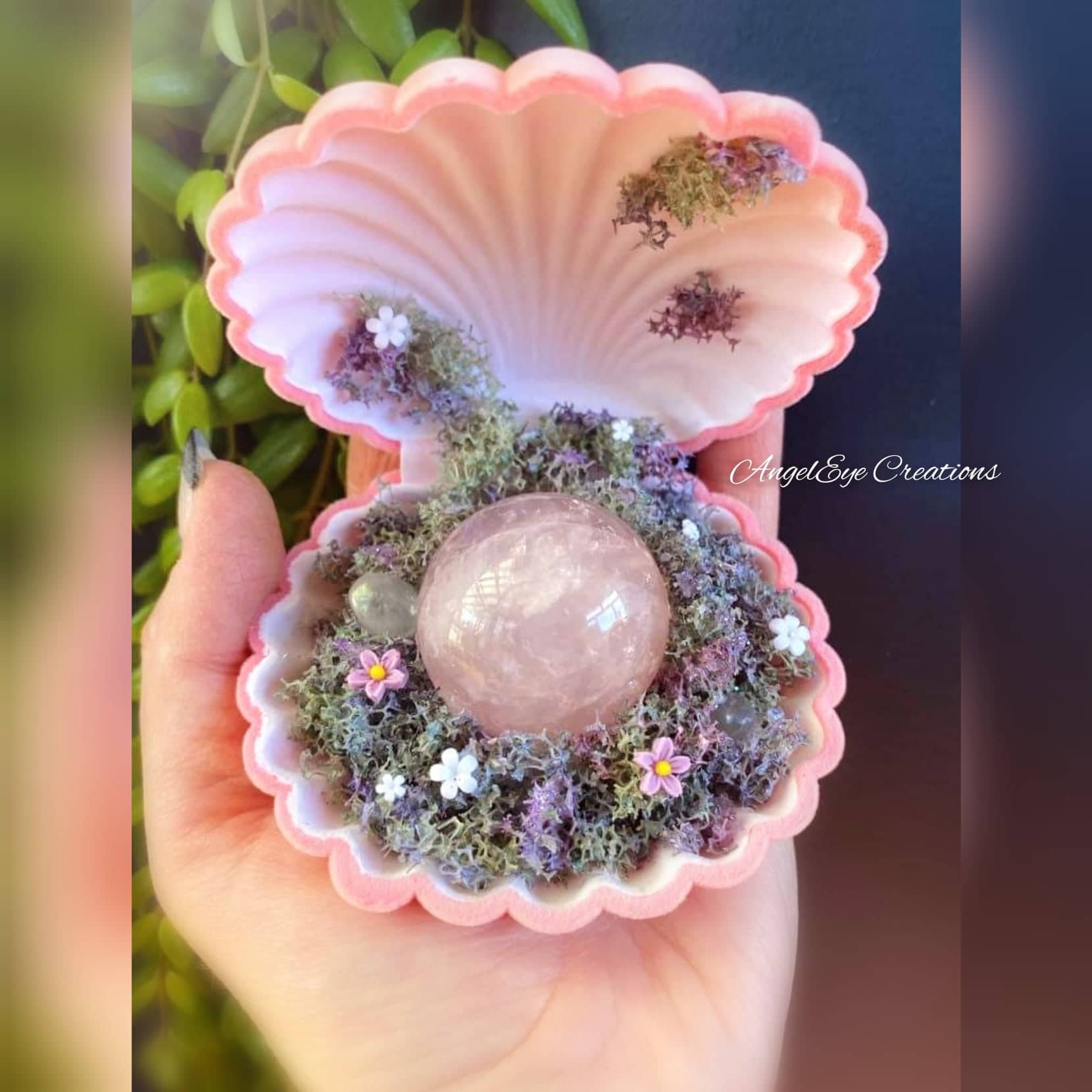 Clam shells – AngelEye Creations