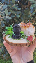 Load and play video in Gallery viewer, Buddha citrine garden
