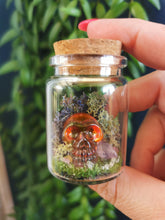 Load image into Gallery viewer, Skull Terrariums
