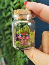 Load image into Gallery viewer, Skull Terrariums
