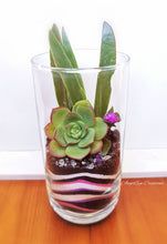 Load image into Gallery viewer, Tumble Terrariums
